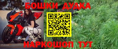 индика Обнинск