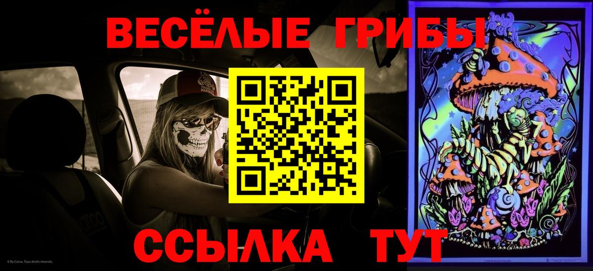 Углич  Псилоцибиновые грибы Cubensis  Вход с VPN 