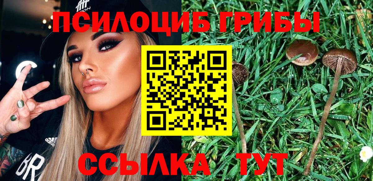 Галлюциногенные грибы мицелий Углич